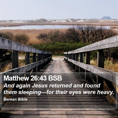 Matthew 26:43 BSB Bible Verse Image