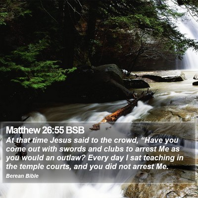 Matthew 26:55 BSB Bible Verse Image