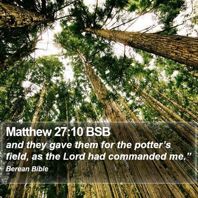 Matthew 27:10 BSB Bible Verse Image
