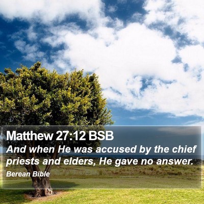 Matthew 27:12 BSB Bible Verse Image