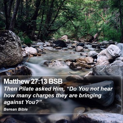 Matthew 27:13 BSB Bible Verse Image