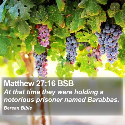 Matthew 27:16 BSB Bible Verse Image
