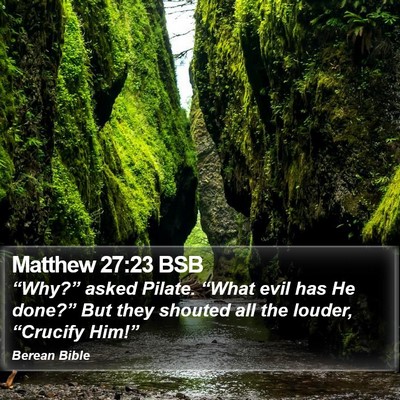 Matthew 27:23 BSB Bible Verse Image