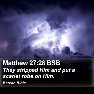 Matthew 27:28 BSB Bible Verse Image