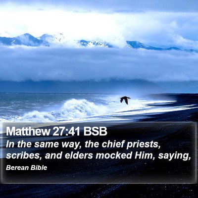 Matthew 27:41 BSB Bible Verse Image