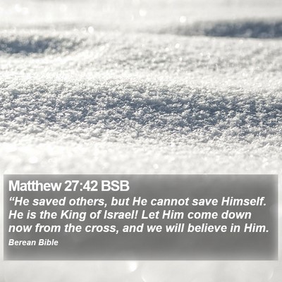 Matthew 27:42 BSB Bible Verse Image
