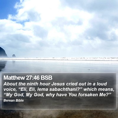 Matthew 27:46 BSB Bible Verse Image