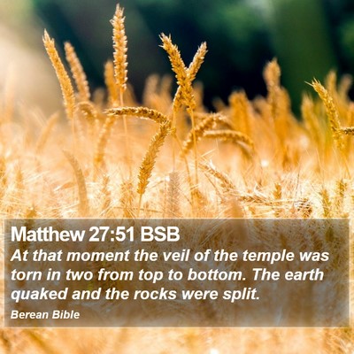 Matthew 27:51 BSB Bible Verse Image