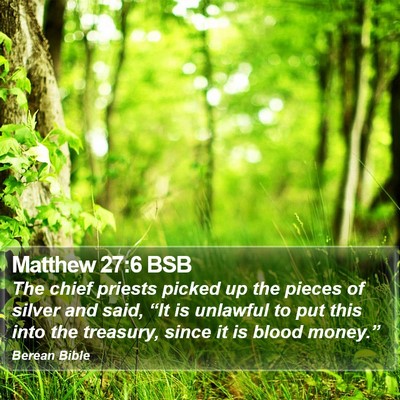 Matthew 27:6 BSB Bible Verse Image