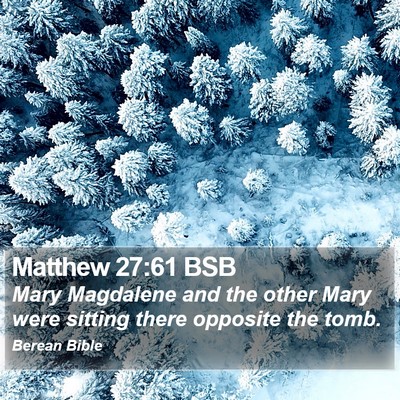 Matthew 27:61 BSB Bible Verse Image