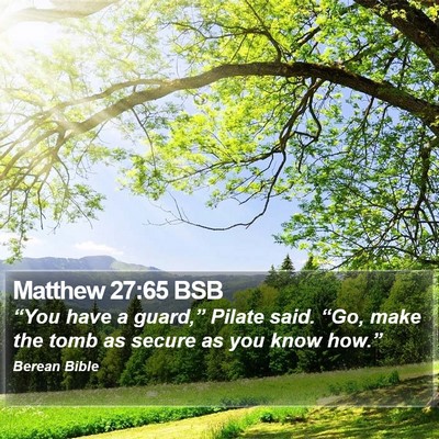 Matthew 27:65 BSB Bible Verse Image