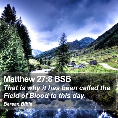 Matthew 27:8 BSB Bible Verse Image