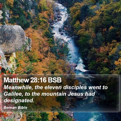 Matthew 28:16 BSB Bible Verse Image