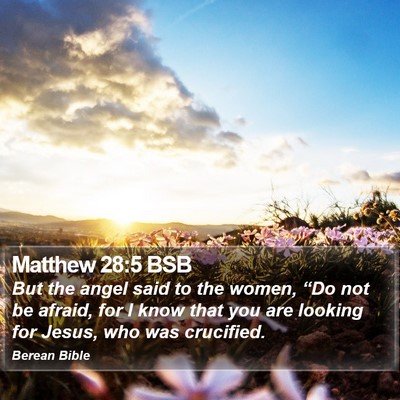 Matthew 28:5 BSB Bible Verse Image