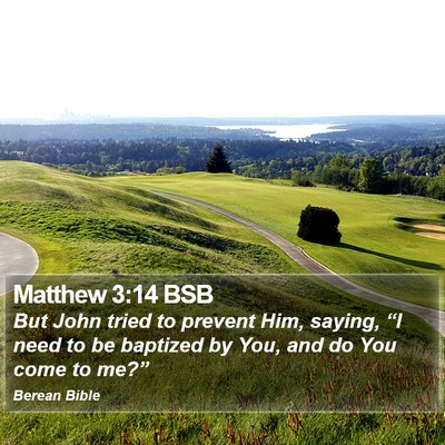 Matthew 3:14 BSB Bible Verse Image