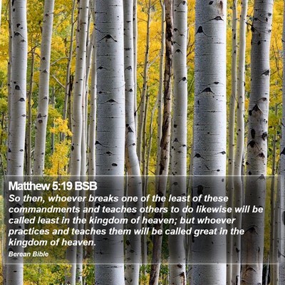 Matthew 5:19 BSB Bible Verse Image
