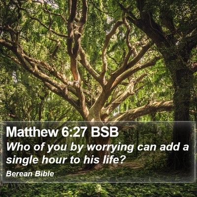 Matthew 6:27 BSB Bible Verse Image