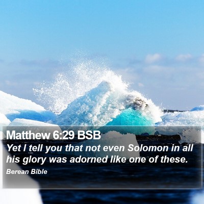Matthew 6:29 BSB Bible Verse Image