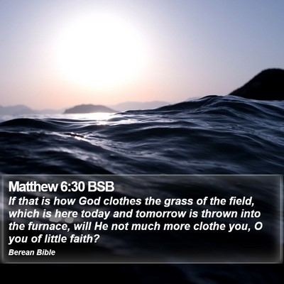 Matthew 6:30 BSB Bible Verse Image