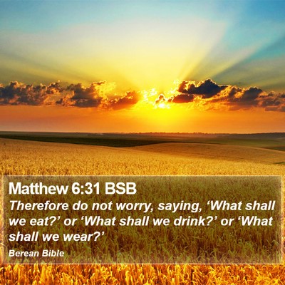 Matthew 6:31 BSB Bible Verse Image
