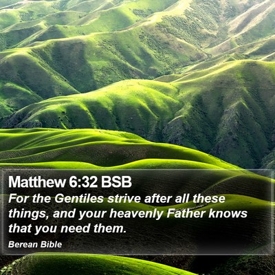Matthew 6:32 BSB Bible Verse Image