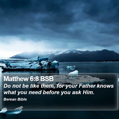Matthew 6:8 BSB Bible Verse Image