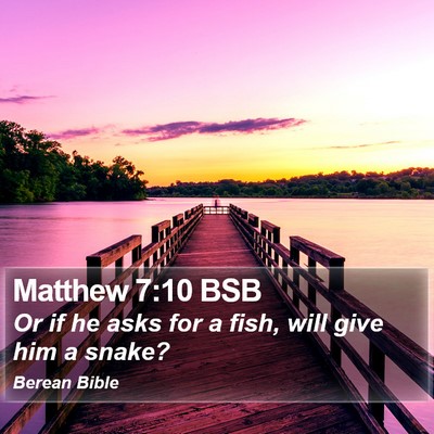 Matthew 7:10 BSB Bible Verse Image