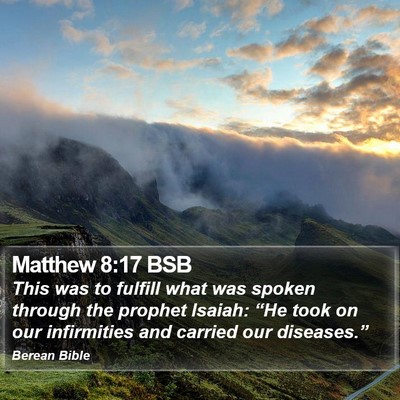 Matthew 8:17 BSB Bible Verse Image