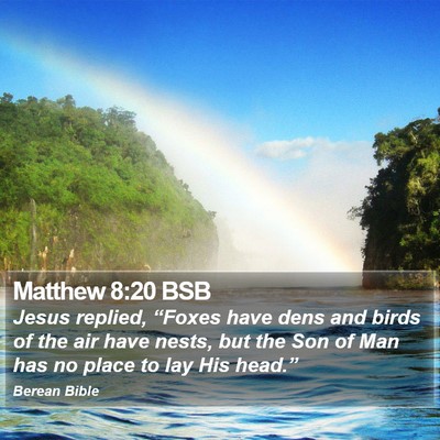 Matthew 8:20 BSB Bible Verse Image
