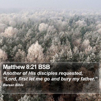 Matthew 8:21 BSB Bible Verse Image