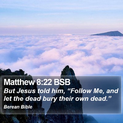Matthew 8:22 BSB Bible Verse Image
