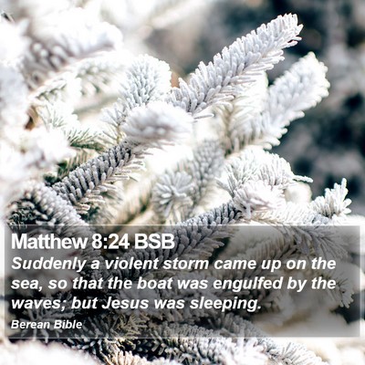 Matthew 8:24 BSB Bible Verse Image