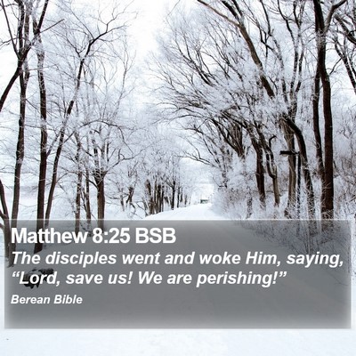 Matthew 8:25 BSB Bible Verse Image