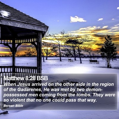 Matthew 8:28 BSB Bible Verse Image
