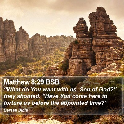 Matthew 8:29 BSB Bible Verse Image