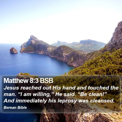 Matthew 8:3 BSB Bible Verse Image