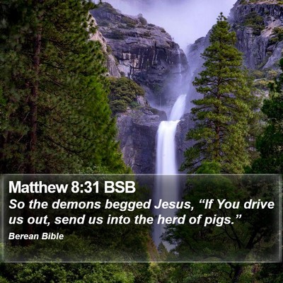 Matthew 8:31 BSB Bible Verse Image