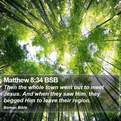 Matthew 8:34 BSB Bible Verse Image