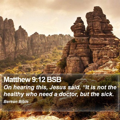 Matthew 9:12 BSB Bible Verse Image