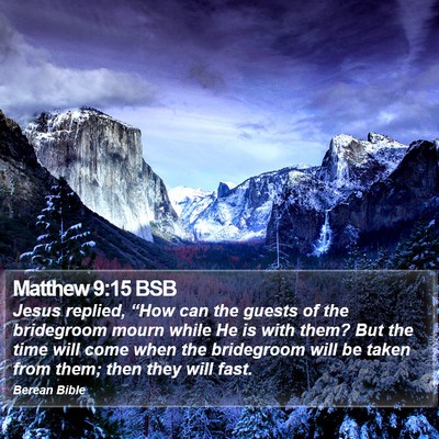 Matthew 9:15 BSB Bible Verse Image