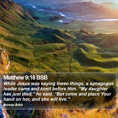 Matthew 9:18 BSB Bible Verse Image