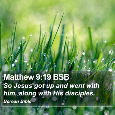 Matthew 9:19 BSB Bible Verse Image