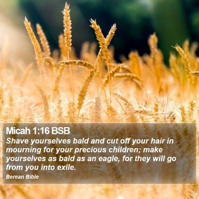 Micah 1:16 BSB Bible Verse Image