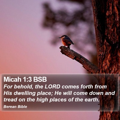 Micah 1:3 BSB Bible Verse Image