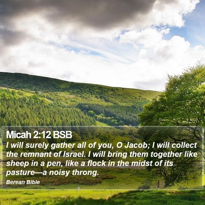 Micah 2:12 BSB Bible Verse Image