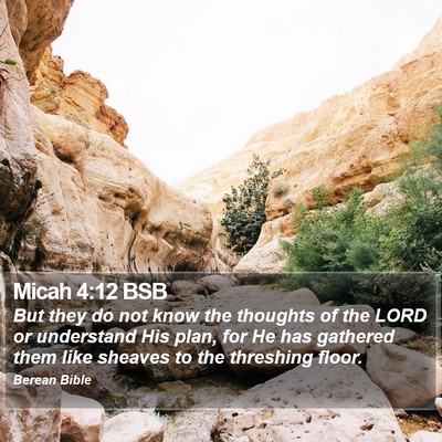 Micah 4:12 BSB Bible Verse Image