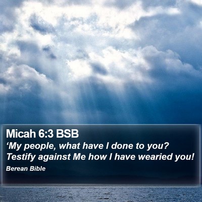 Micah 6:3 BSB Bible Verse Image