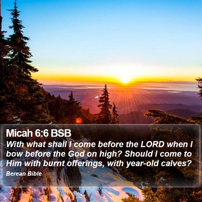 Micah 6:6 BSB Bible Verse Image