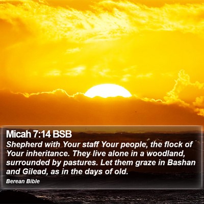 Micah 7:14 BSB Bible Verse Image
