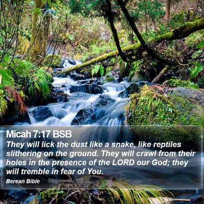 Micah 7:17 BSB Bible Verse Image